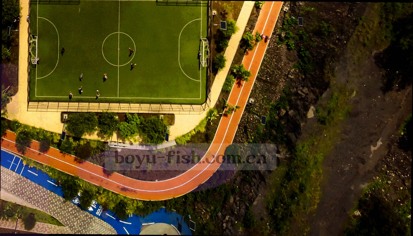 深色底图上以电光青标记五大赛区与重点分站位置的信息图